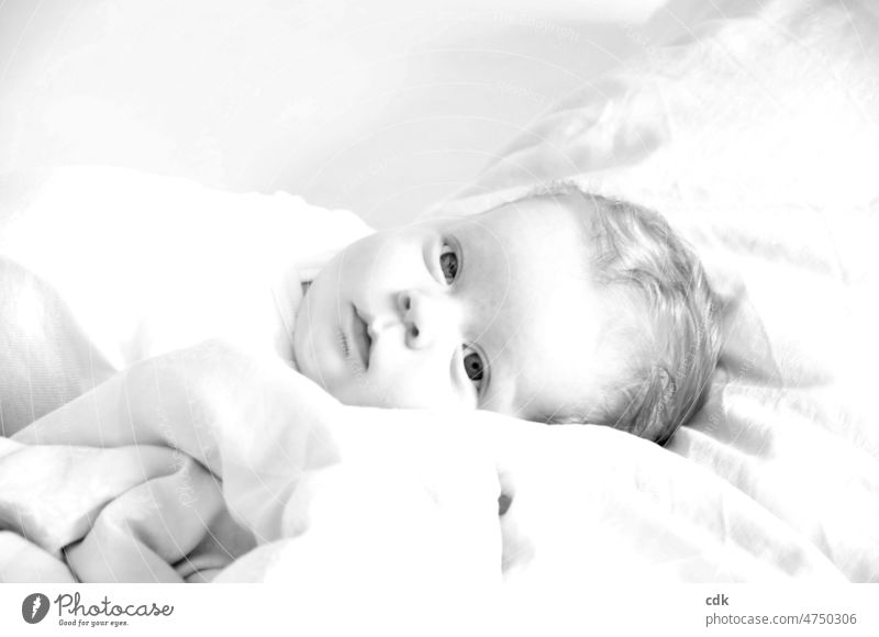 Baby years | give protection and cover. Child Infancy portrait Face Looking eye contact centred black and white photo High-key Bright eyes Earnest Alert