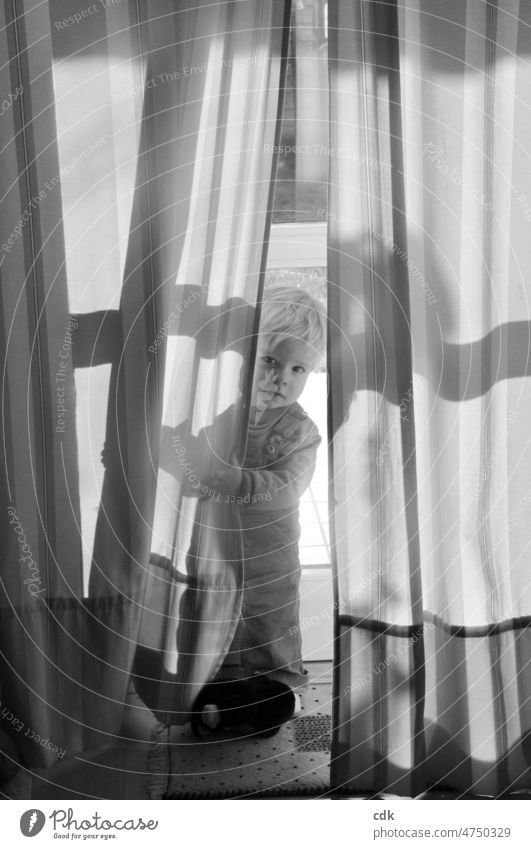 Childhood | carefully push aside the curtain. Toddler little boy Delicate youthful timid Smooth Small Sensitive cautious Attentive Drape black and white photo