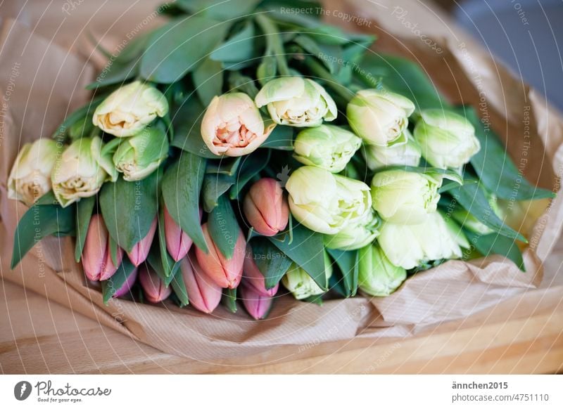 Various colorful and pastel tulips lie on brown wrapping paper Tulip blossom Blossom variegated Pastel tone Flower Spring Blossoming Bouquet Plant Interior shot