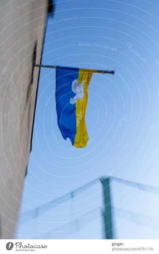 Please Peace (Ukrainian flag with dove of peace on church window - Lensbaby) Ukraine Dove of peace Bridge Church flagpole Blue Yellow symbol