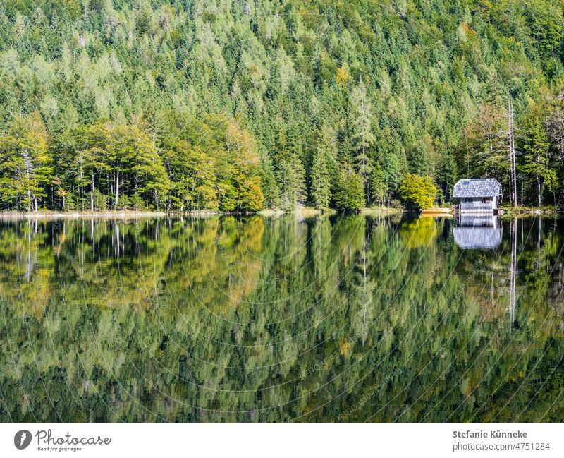 The perfect mirror image Lake reflection Austria Deserted Water Clarity Salzkammergut Lake Maggiore Idyll Joy Leisure and hobbies Freedom To enjoy Lakeside