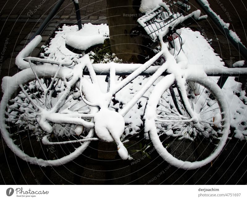 Bicycle totally snowed in. Theft secured by a crossbar. Contrast Cycling Winter Cold Landscape chill White Nature Frost Winter's day Exterior shot Deserted