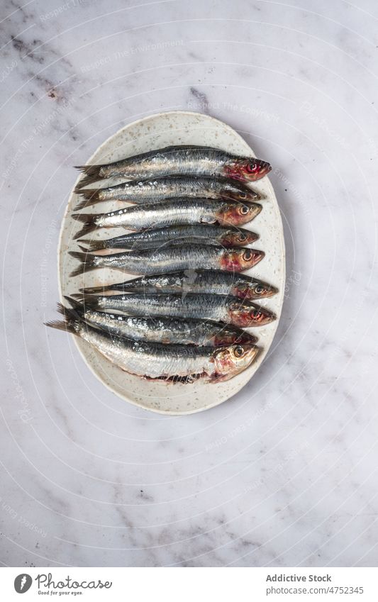 Raw fish placed on plate raw sardine fresh marble table bunch natural seafood ingredient marine gourmet product uncooked whole ceramic oval composition serve