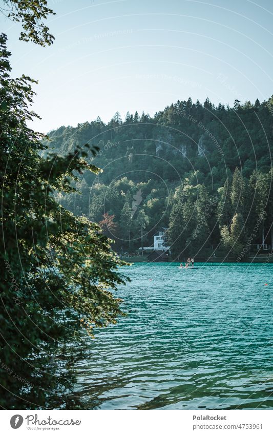 #A0# Mountain lake lake bled Lake Lakeside Water Slovenia Surface of water Summer bathe
