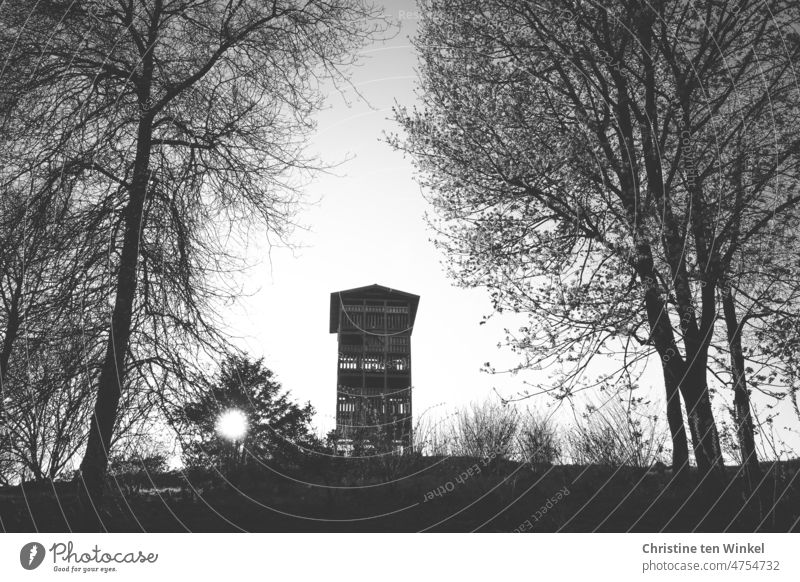 A wooden lookout tower, trees on the right and left and the sun hidden behind a bush... Backlight shot in black and white Lookout tower wooden tower Destination