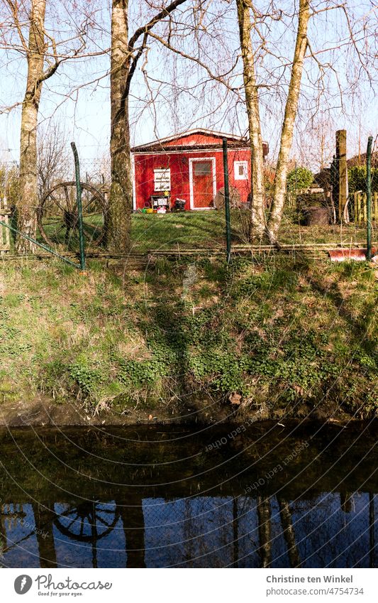 A red cottage in a small garden next to the water Gardenhouse weekend house Idyll Small Water reflection birches trees Wheel Red Green little garden Garden plot