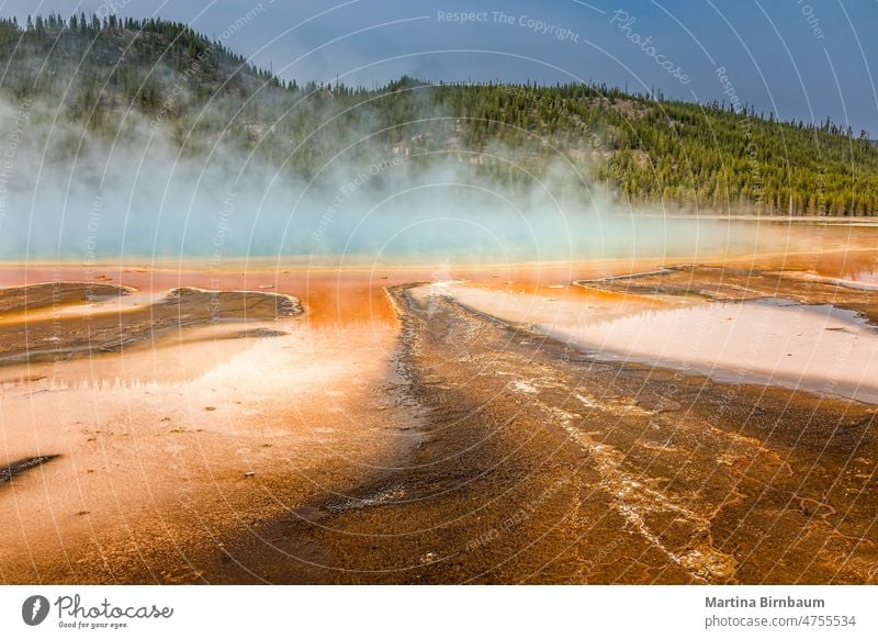 The Grand Prismatic Spring in the Yellowstone National Park, Wyoming yellowstone prismatic spring grand national park landscape colorful blue geyser wyoming