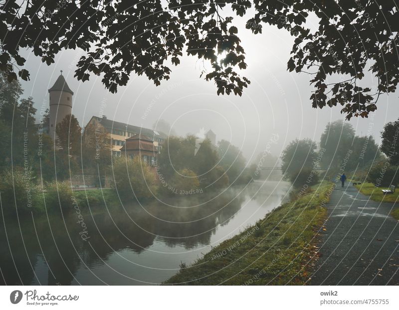 Morning on the Tauber wertheim Baden-Wuerttemberg Small Town Historic along the bank Water Peaceful Leaf canopy leaves Mystic out enchanted wide Copy Space top