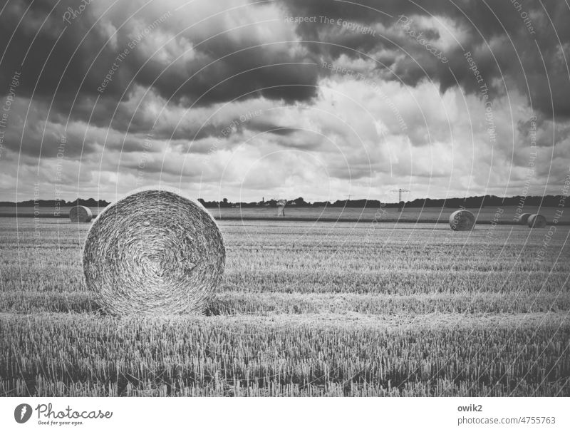 stubble field Bale of straw Stubble field harvested Agriculture Field Harvest coiled Coil Sky Clouds Landscape Straw Grain Exterior shot Autumn Environment