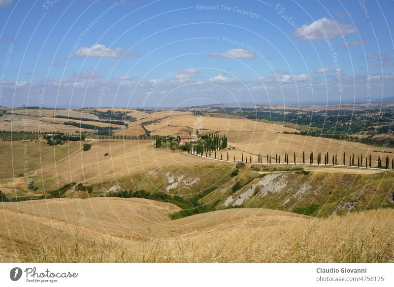 Rural landscape near Asciano, Tuscany, Italy Europe San Giovanni d Asso Siena agriculture color country day farm field green hill nature outdoor photography