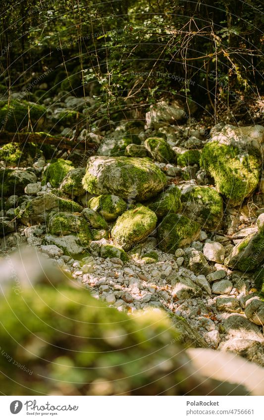#A0# streambed bachlauf Banks of a brook stream bed Stone Stony Moss Carpet of moss moss-covered mossy green Slovenia hiking trail
