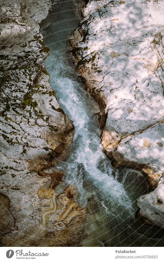 #A0# Water in stream Deserted Day Landscape Environment Colour photo Exterior shot Nature mountain brook stream bed bachlauf Banks of a brook Brook Slovenia