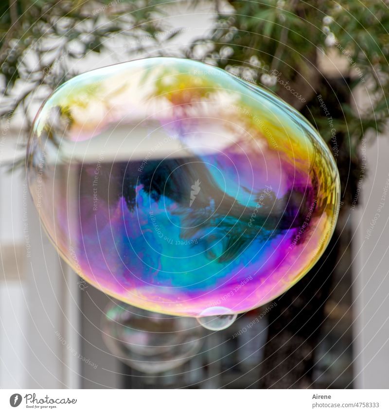moment of happiness Soap bubble Flying Ease Glittering Colour Dazzling Easy Bubble Playing Hover through glass Pastel shades Transience transient pastel Bright