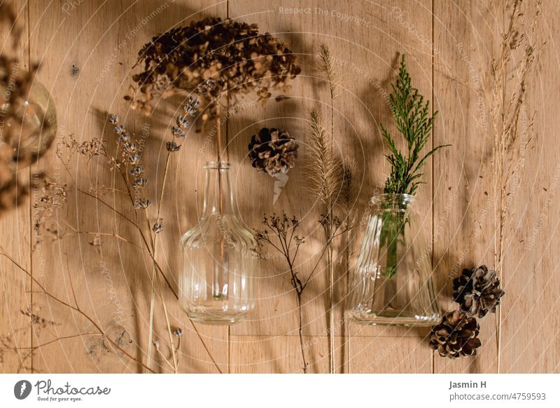 Flatlay flatlay Decoration Interior shot Bird's-eye view Deserted Colour photo Neutral Background Dried flowers Cone grasses Plant