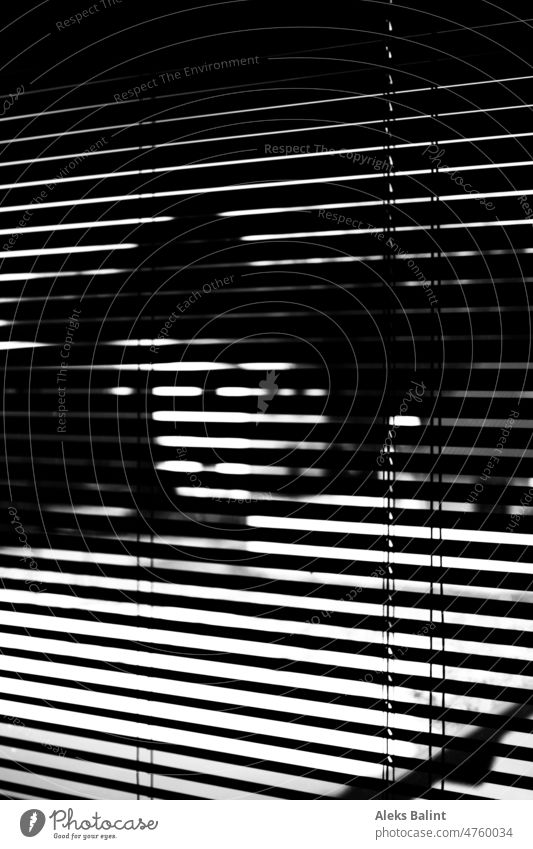 Through the blinds, in black and white by Venetian blinds blind view Window Shadow Light Deserted Structures and shapes Contrast Interior shot lines Closed