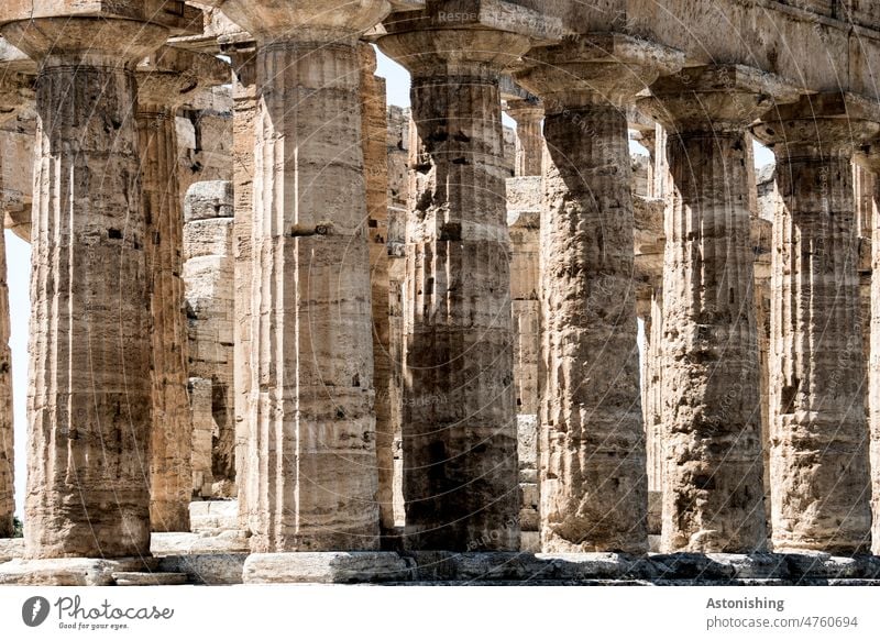 Columns, Paestum Campania Old Antiquity Old times stones Temple Historic History of the columns Italy Greek Tourism Exterior shot Architecture Ruin Colour photo