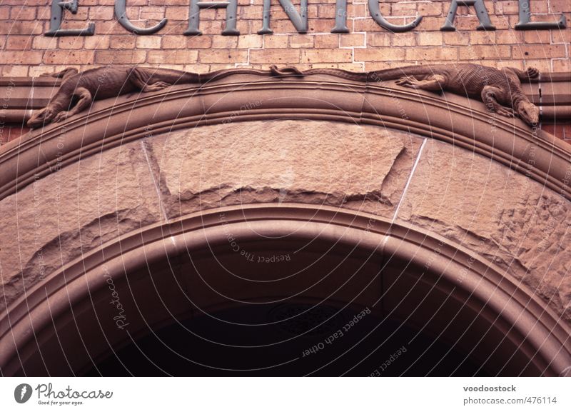 Arched Door Arcitectural Details Building Architecture Stone Brick Ornament Old Under Brown lizard stone carving Carved masony masonery arch legs Sandstone