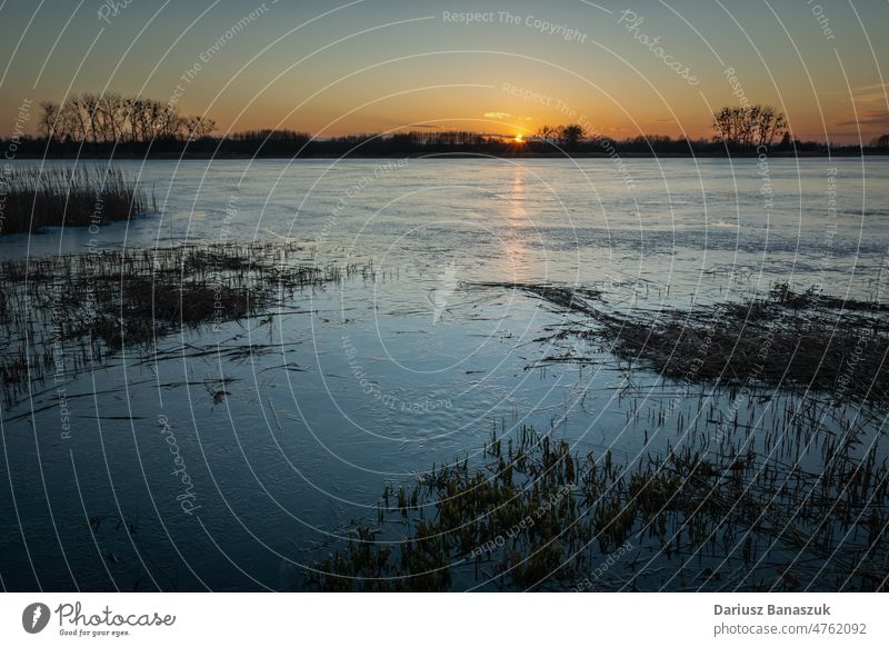 Evening view of an icy lake during sunset, Stankow, Poland ice water outdoor nature sky winter reed blue horizontal photography no people sunlight frost tree