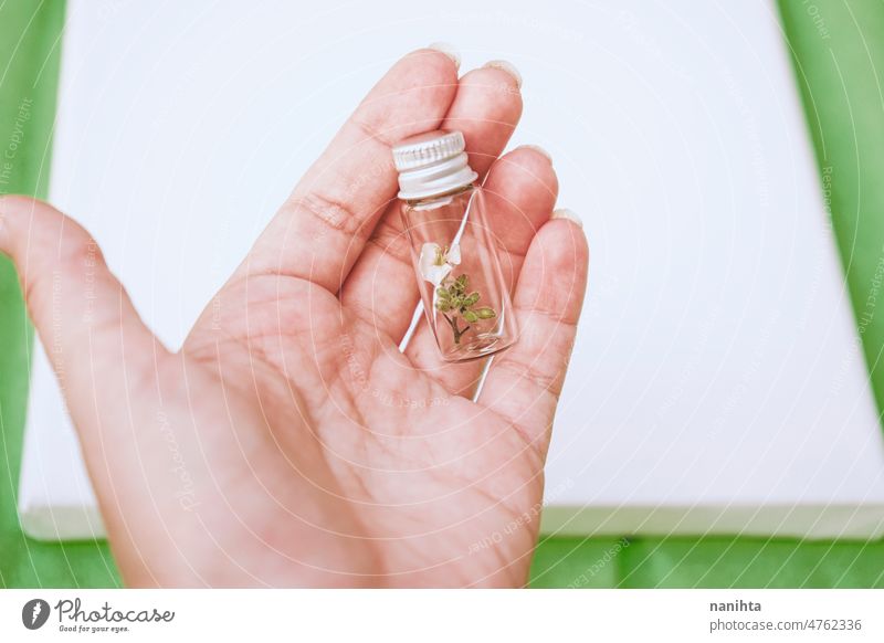 Hand holding a tiny bottle with a tiny plant inside it sustainability environment conept preserve conserve green specimen ecology botanical botany protect