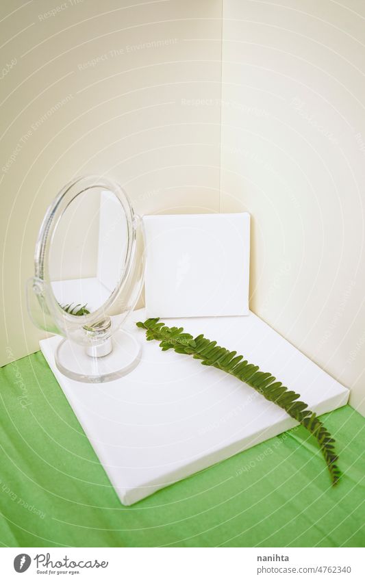 Clean and natural mockup in green and neutral tones mock up canvas leaf fern clean white blanket negative space copy space mirror reflection composition design