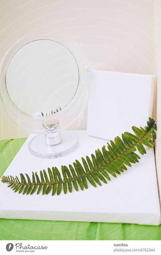 Clean and natural mockup in green and neutral tones mock up canvas leaf fern clean white blanket negative space copy space mirror reflection composition design