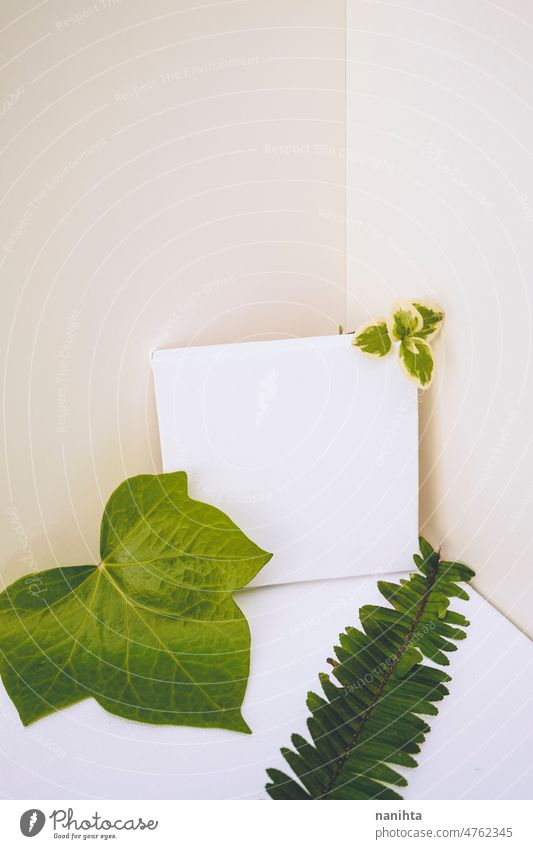 Mockup in green and neutral thones with organic leaves mockup mock up canvas tones leaf boho blanket white beige classic clean spring new growth recycled style