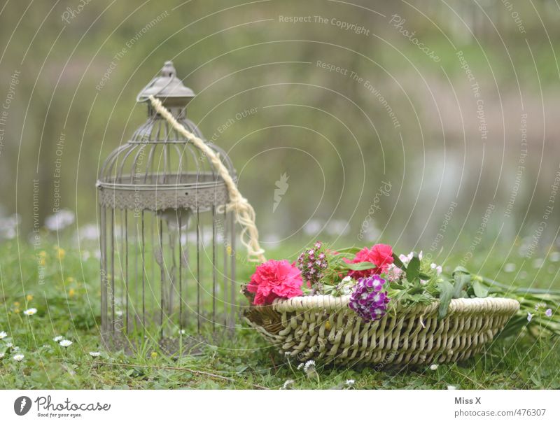 Quiet on the meadow Living or residing Garden Decoration Spring Summer Flower Meadow Blossoming Moody Infatuation Romance Cage Tealight holder Basket Bouquet