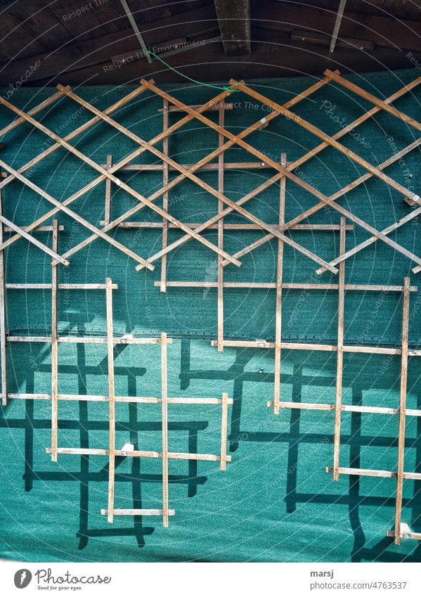 Garden idyll. Wooden climbing aid, trellis in various creative shapes against green background. Grating Shadow Shadow play Structures and shapes Abstract