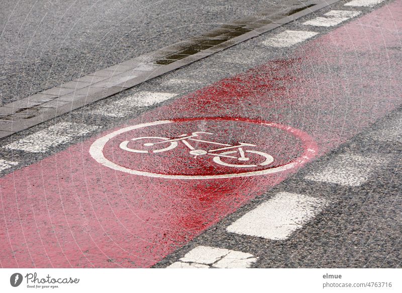 red marked, rain wet and with a white bicycle - pictogram bicycle path over a road / danger zone / road marking Cycling Rain Pictogram Street Wheel rainwater