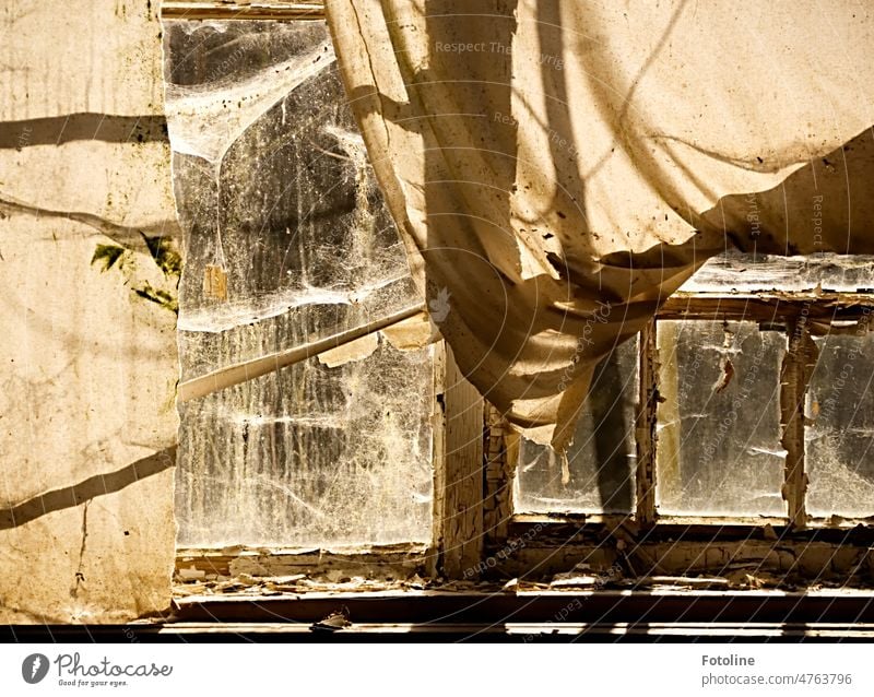 In a run-down old Lost Place, the curtains compete with because cobwebs. lost places Old Decline Transience Change Derelict Ravages of time Broken Architecture