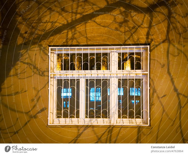 Barred window with reflection Window Shadow play Contrast Light Wall (building) Wall (barrier) House (Residential Structure) Architecture Facade