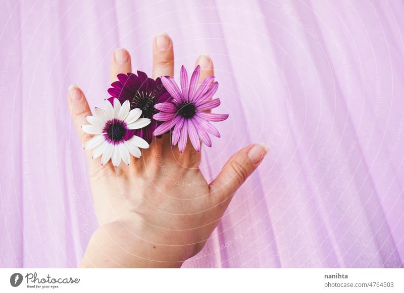 Woman hand using flowers as rings floral accessories natural jewlery spring theme palette purple pink angiosderma skin care hands delicate fragile beauty