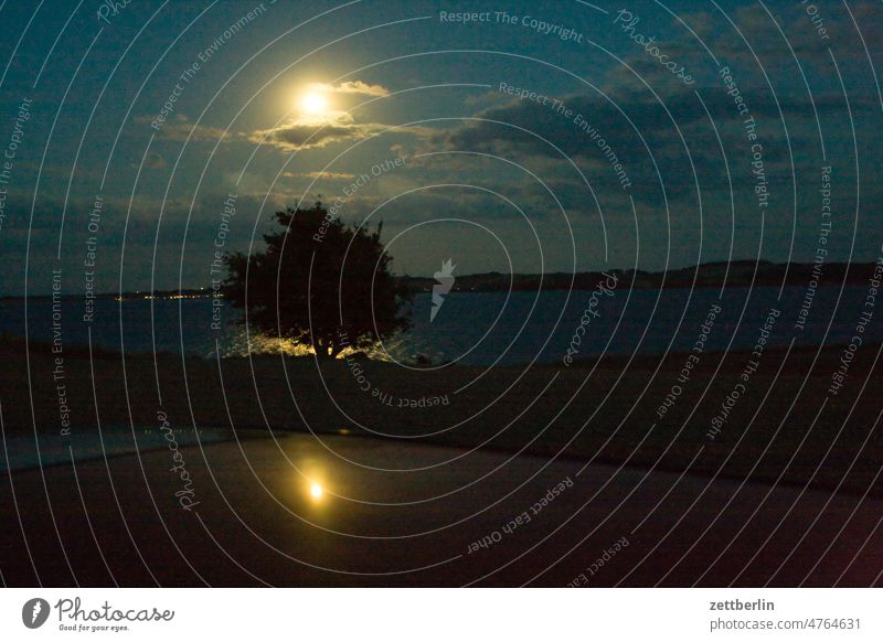 Moonlight on the Bodden Evening August drama Dramatic Twilight Relaxation holidays Sky coast Mecklenburg-Western Pomerania Moonrise mons Baltic Sea Baltic coast