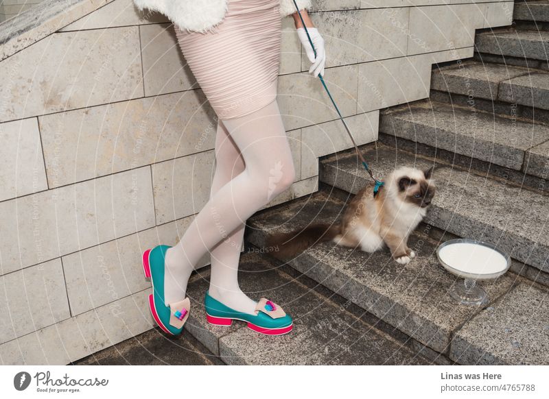 A girl with a cat. And a pink mini skirt with white gloves. And don’t forget classy avant-garde electric shoes. Cat also has a fancy glass of milk. Concrete stairs give some city life mood to this piece.
