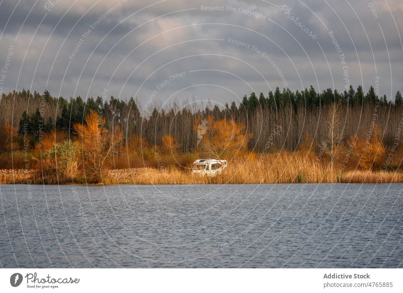 Forest against river with car on coast on cloudy day landscape lake woodland forest tree shore sky countryside grass overcast pond spain woods lakeside nature