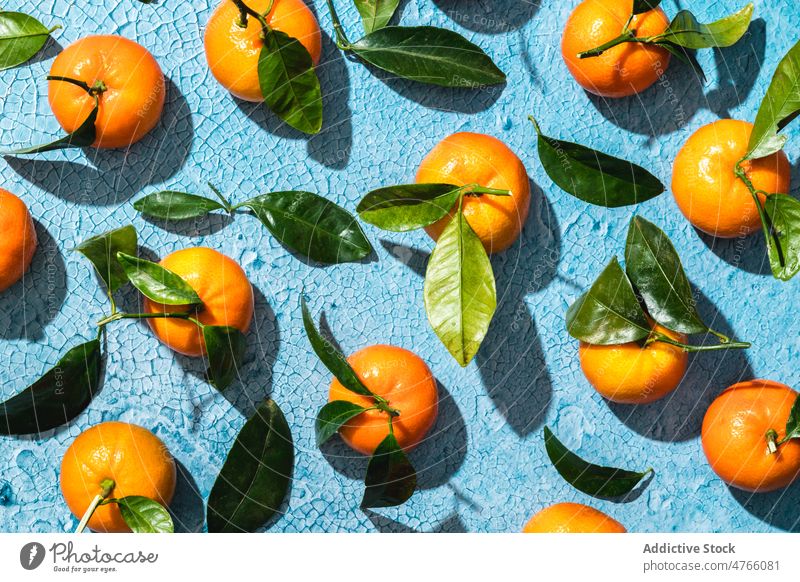 Tropical tangerines with leaves on blue surface leaf twig fruit row fresh ripe flat lay colorful background composition vitamin mandarin exotic citrus food
