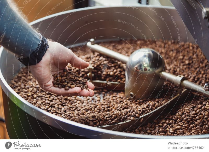 Man check roasted coffee beans on cooling plate of industrial roaster appliance rotating top view arabica aroma factory cafe roasting machine robusta production