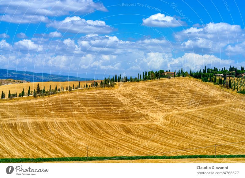 Rural landscape in Val d Orcia, Tuscany, Italy Asciano Europe Siena agriculture color country cypress day farm field green hill nature outdoor photography plant