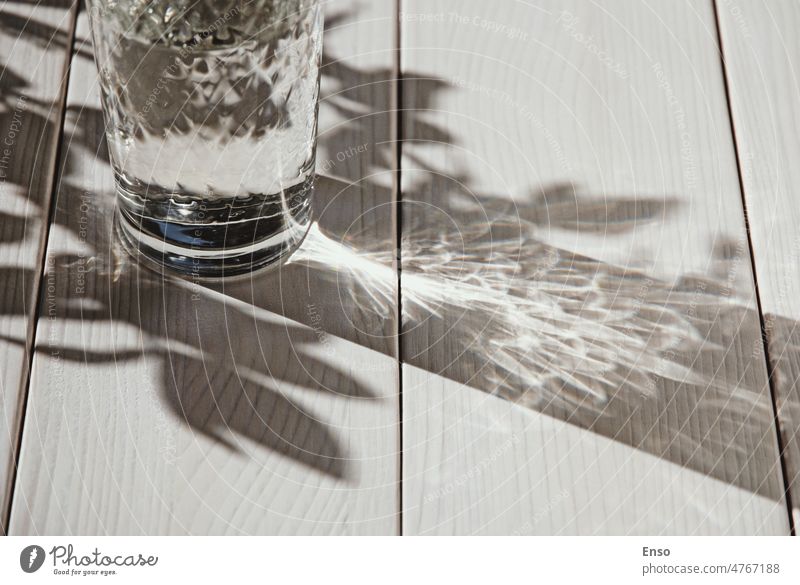 Glass of water on white table, shadows and sunlight, copy space glass of water drink healthy freshness refreshing pure cold beverage liquid nature closeup