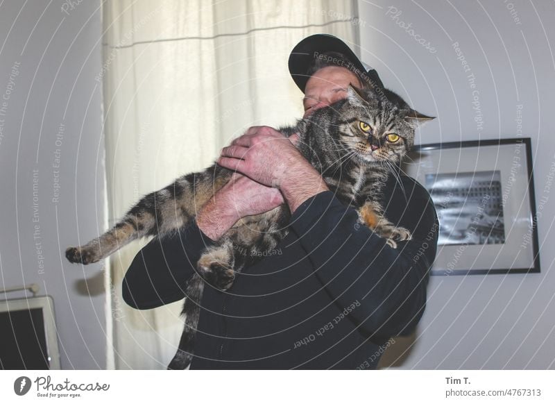 a man with baseball cap holds a big hangover in his arms Man Cat Flat (apartment) Pet Animal Pelt Domestic cat Animal portrait Looking Observe Cuddly Cute