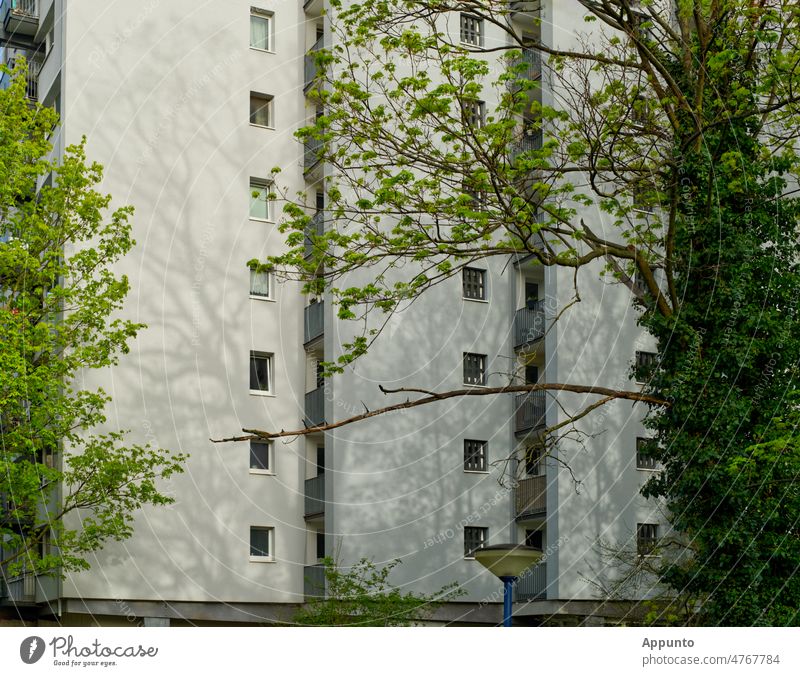 White skyscraper facades, bordered on both sides by freshly greening trees that create patterns of light and shadow High-rise skyscrapers Facade