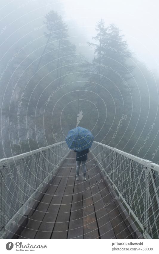 Woman on St. Mary's bridge with umbrella in fog Rear view Lonely on one's own Loneliness Moody naturally chill Calm Nature Gray Checkered Environment