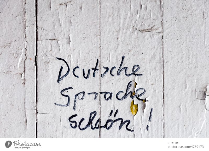 German language beautiful! Grammar Language Characters Communicate communication pretty Wall (building) White Typography Languages Study Foreign language