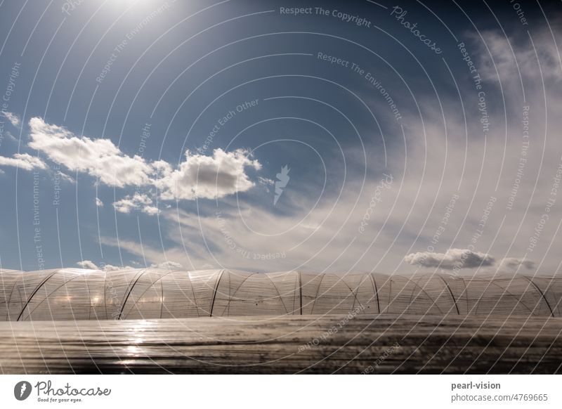 Sky meets foil tunnel Exterior shot Field Agriculture Greenhouse Beautiful weather solar irradiation Solar Power natural heat Packing film acre Nature Horizon