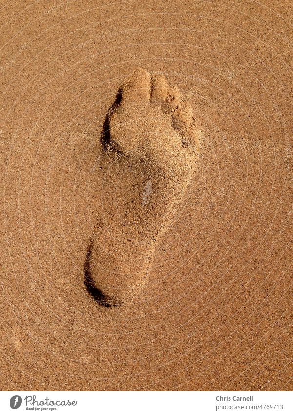Abstract footprint on a beach in the sand Feet Sand Water Barefoot Ocean Footprint Beach summer holiday seaside abstract