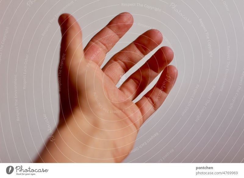 Left hand. One open hand. Palm of hand against neutral background Hand left hand Left-handed palm Fingers Offer Help hand out Skin Parts of body