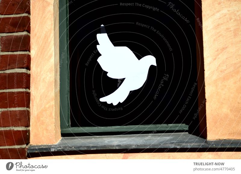 White dove in flight as a symbol of peace in windows of Bertha von Suttner Gymnasium Babelsberg, framed with wood, natural stone and bricks Dove of peace
