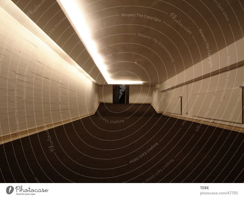 The passage Cellar Dark Passage Catacomb Narrow Way out Interior shot Freedom Architecture