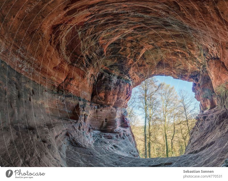 Genoveva Cave in red sandstone in the Eifel near Trier, Germany Rock Forest naturally Nature Stone Wood Mountain romantic trees Rhineland-Palatinate leaves