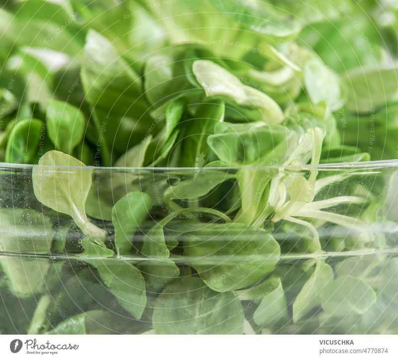 Close up of green lettuce leaves in glass bowl. close up healthy salad cooking fresh ingredients front view background closeup food freshness home lunch natural